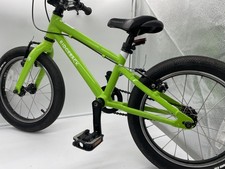 Green Ridgeback Dimension 16"