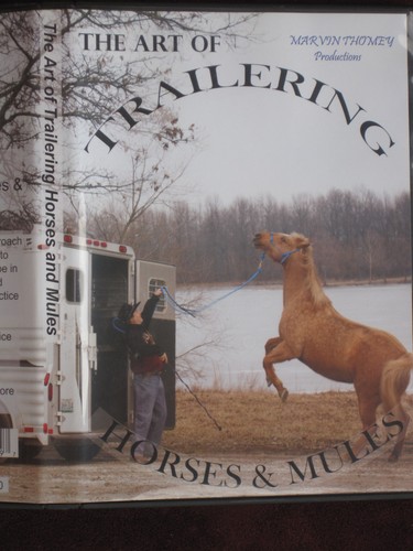 Thomey horse trailer loading - horse,