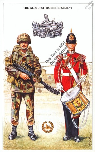 The gloucestershire regiment - the,