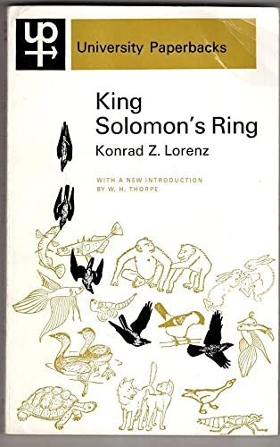 King solomon ring - king,