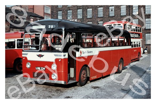 Bus photograph north - photograph, western