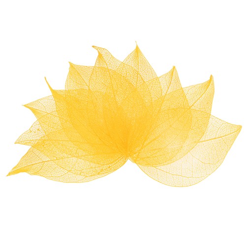 100 pack skeleton leaves - skeleton,