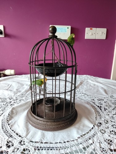 Yankee candle two parrots a - parrots,