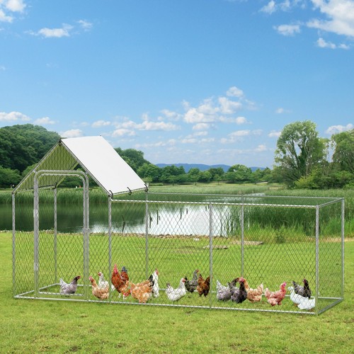 300cm chicken run cage - 300cm, poultry