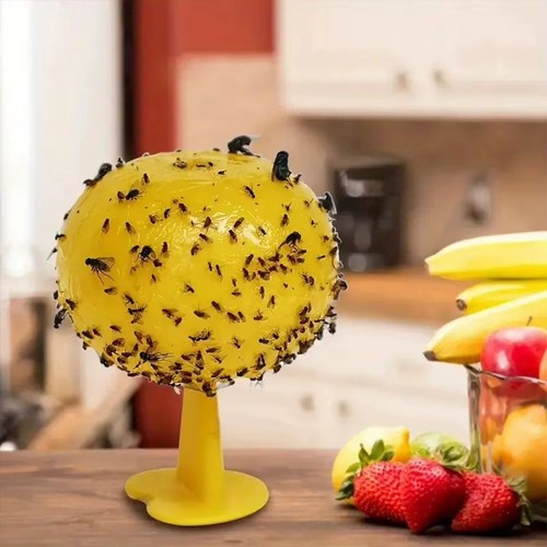 Fruit fly balls ball - fruit,