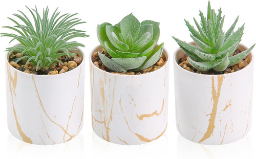 Der rose pack fake succulent - der,