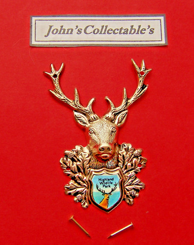 Stags head highland wildlife - head,