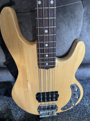 Sterling stingray bass guitar - stingray,