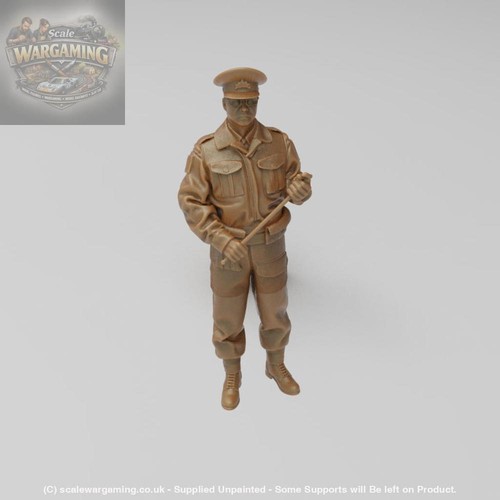 Sw4363 army officer - sw4363,