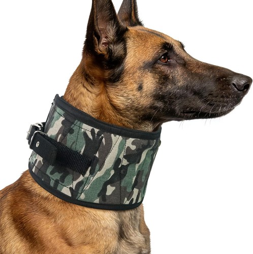 Anti bite dog - neck, protector