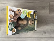 Zoomer Chimp