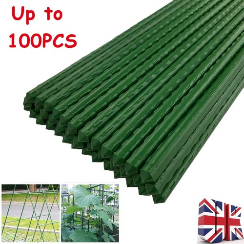 Plant support stake plastic - plant,