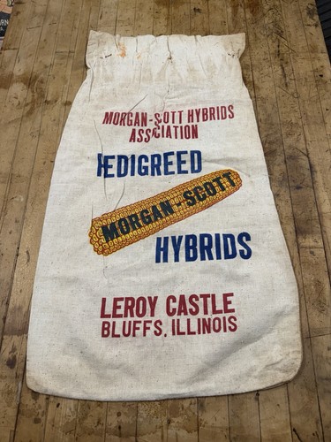 Vintage morgan scott hybrid - morgan,
