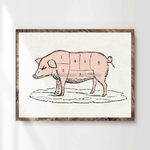 Butcher pork pig - meat, chart