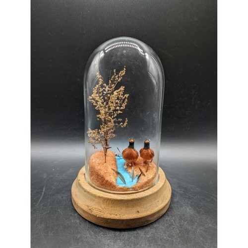 Vintage miniature bird diorama - miniature,