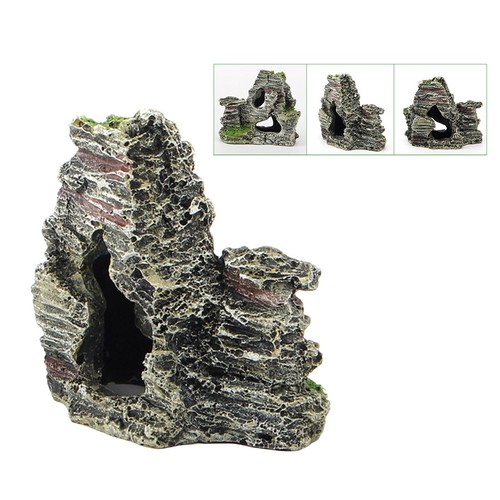 Fish tank mountain cave - fish,