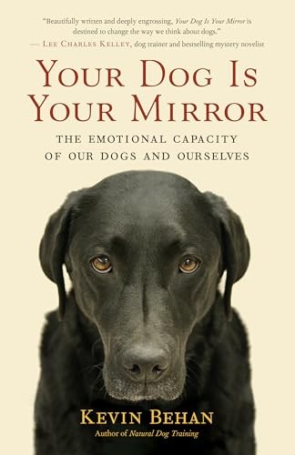Your dog mirror - dog, the