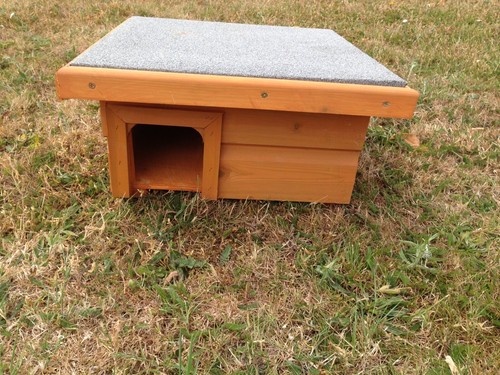 Hedgehog feeder - hedgehog, feeder/
