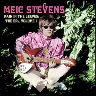Meic stevens rain the - stevens:,