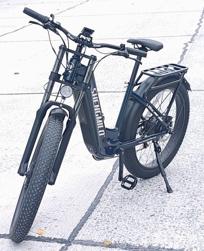 Electric bike 48v - 25ah, dual