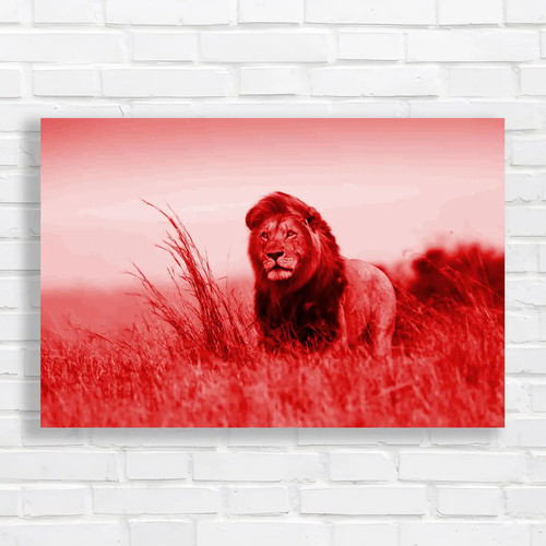 Lion caesar red canvas print - caesar,