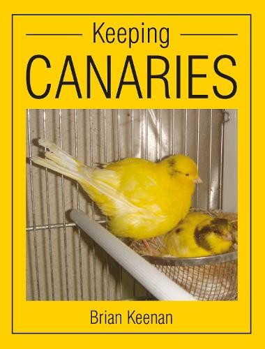 Keeping canaries keenan - canaries,,
