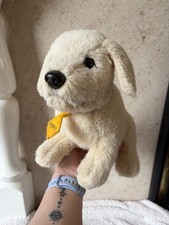 Kimberly Clark Andrex Puppy