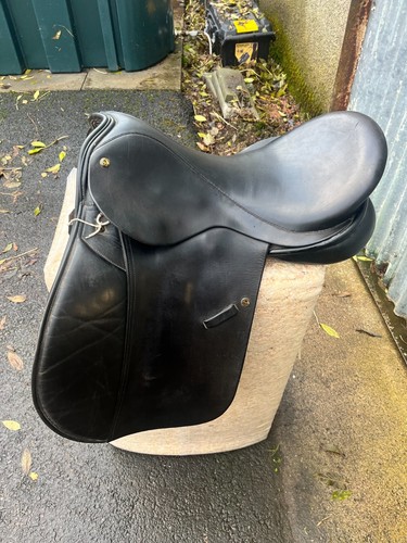 Frank baines saddle 5 - baines, gp