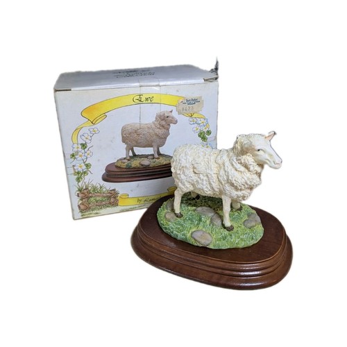 Ewe sheep the - the, leonardo