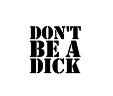 DON'T BE A DI*K sticker/decal VAN CAMPER bumper joke VW CUSTOM T4 T5 T6 FORD