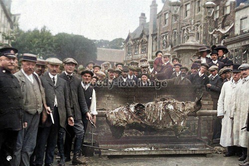 Col0124 hog roast in - -,
