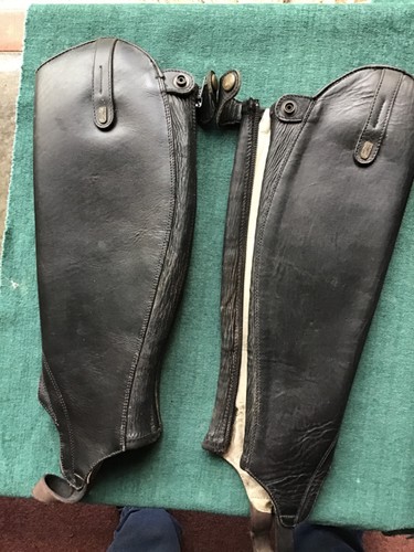 Tredstep half chaps black - tredstep,