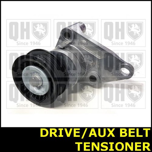 Ribbed belt tensioner - tensioner, pulley