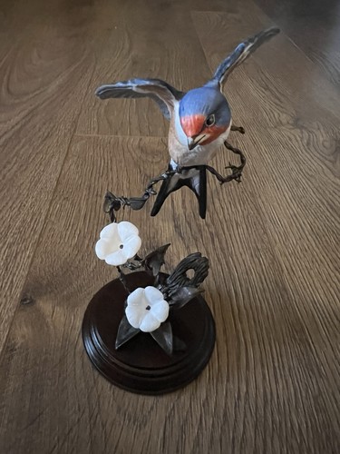 David fryer swallow - swallow, bird