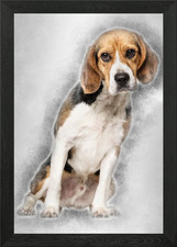 Beagle dog 2 years old si
