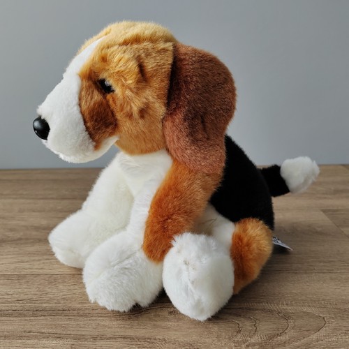 Natural world beagle - natural, puppy