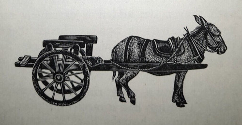 Donkey cart vintage print - donkey,