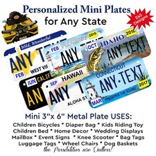 Any State Mini License Plate