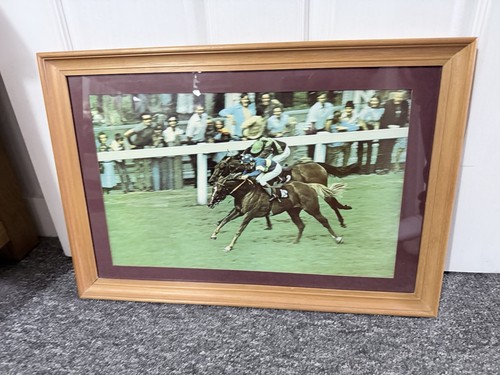 Framed horse racing photograph - framed,