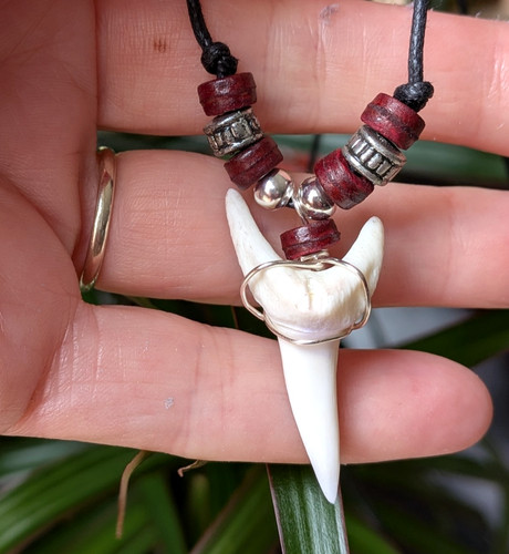 Mens boys shark tooth - mens,