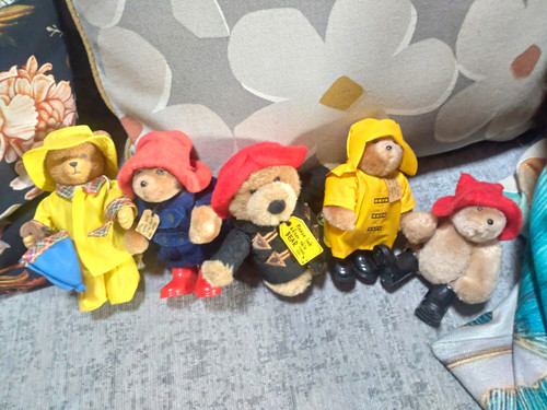 Paddington bear small teddies - ,