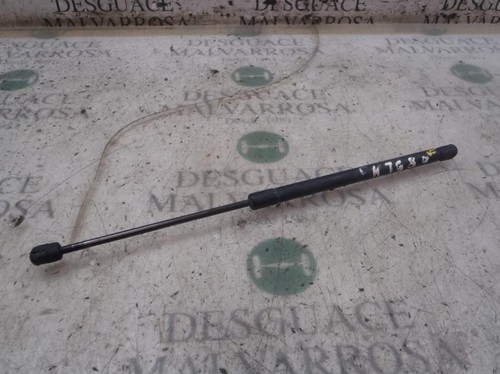 Tailgate gas strut - strut, 14522701