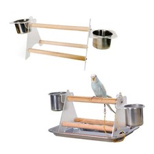 Desktop Parrot Perch Play