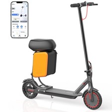 Electric Scooter with Seat