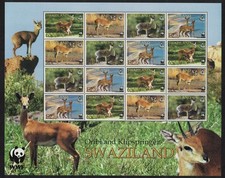 Klipspringer and Oribi
