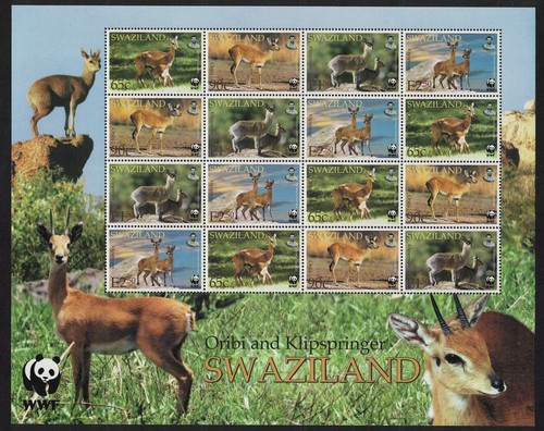 Klipspringer and oribi - and,