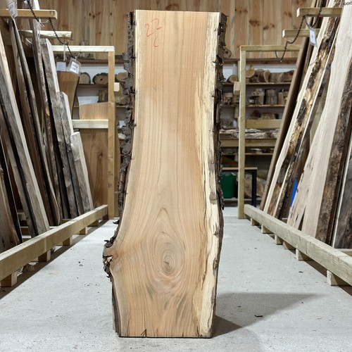 Cherry plank board waney - board, live