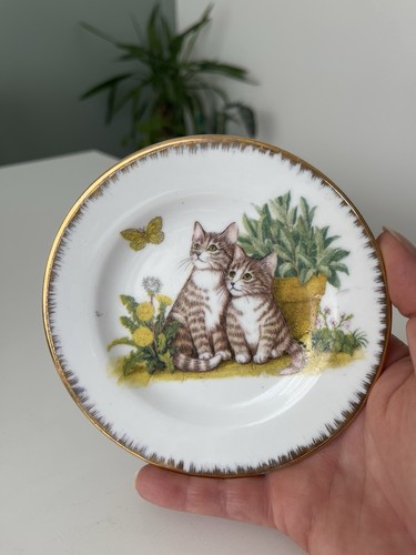 Vintage cat kitten collector - cat,