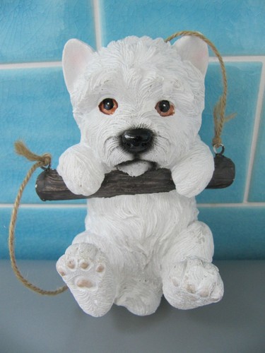 Line westie puppy a - hi-line,