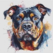 American Bully Puppy Dog